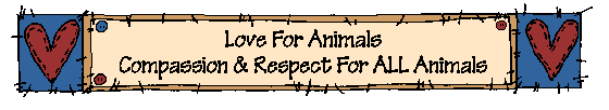 Love For Animals